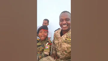 الشبلي القوات المسلحة السودانية Shorts Sudan 