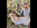 HUNTING MONSTER RAINFOREST FALLOW BUCKS