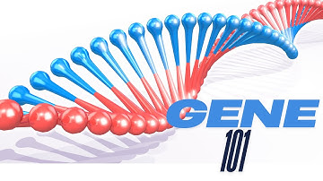 (PART 1) Unlocking the Secrets of Genetics: How DNA Shapes Who We Are