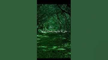 سورة الزمر | القارئ شريف مصطفى ✨