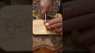 How To Catch A Lobster (And Cook It)  #bushcraft  #survival  #cooking