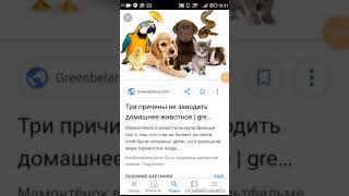 Каких собак лучше всего покупать рубрика Домашние Животные Каких собак лучше всего покупать рубрика Домашние Животные