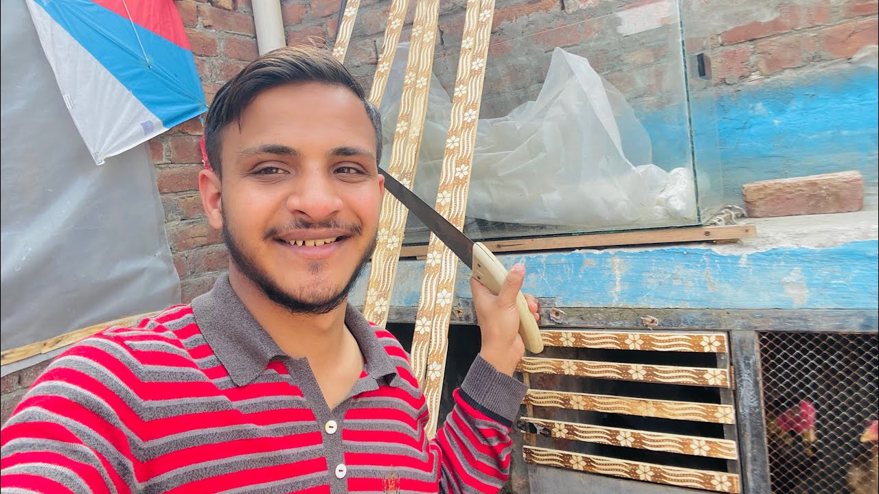 Cage ko Repair Karna Hai