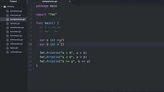cursos/0010-aprenda-golang: Operadores de Relacionamento / Comparação no Golang (Aula de Go)