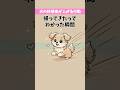 犬の好感度が上がる瞬間③【犬雑学】#いぬのいる生活 #いぬのきもち