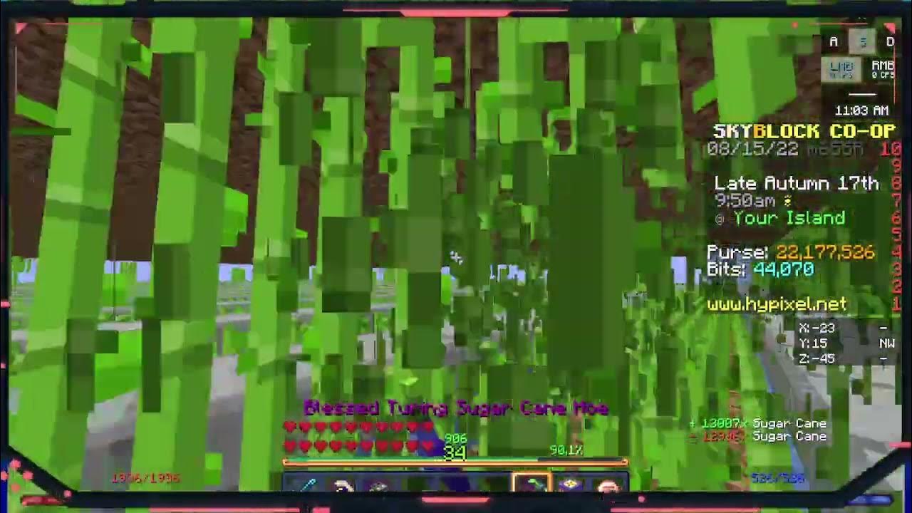 brewing bois pt.1 Hypixel Skyblock 116 YouTube