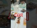 새소리 삐약삐약