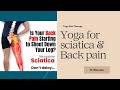 Yoga for Sciatica Pain and Back Pain। कमर दर्द व सायटिका दर्द के लिए योगाभ्यास #viral #backpain#yoga