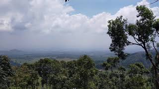 Kebun Teh Jamus Ngawi Jawa Timur