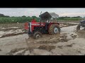 Chetak को निकलने में फंस गया Massey 241 हुई बहुत परेशानी Massey 241 vs sonalika 745 trector#trending