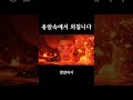용암이 더 안전한 나라 #정치 #대한민국 #브이로그 #veo3