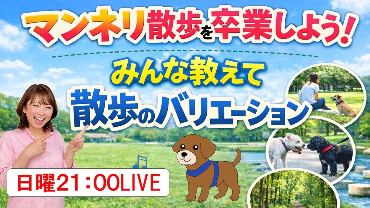 【犬 散歩】マンネリ散歩を卒業しよう！ みんな教えて散歩のバリエーション犬のしつけエマチャンネル【犬のしつけ＠横浜】