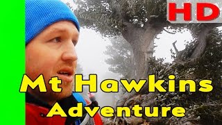 Mt Hawkins adventure hike from Windy Gap Trailhead