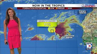 Oct. 13 Tropics Update News