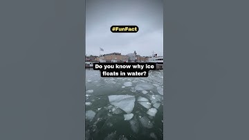 The Science Behind Why Ice Floats in Water