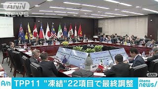 TPP　米国復帰まで「凍結」22項目で最終調整へ(18/01/18)