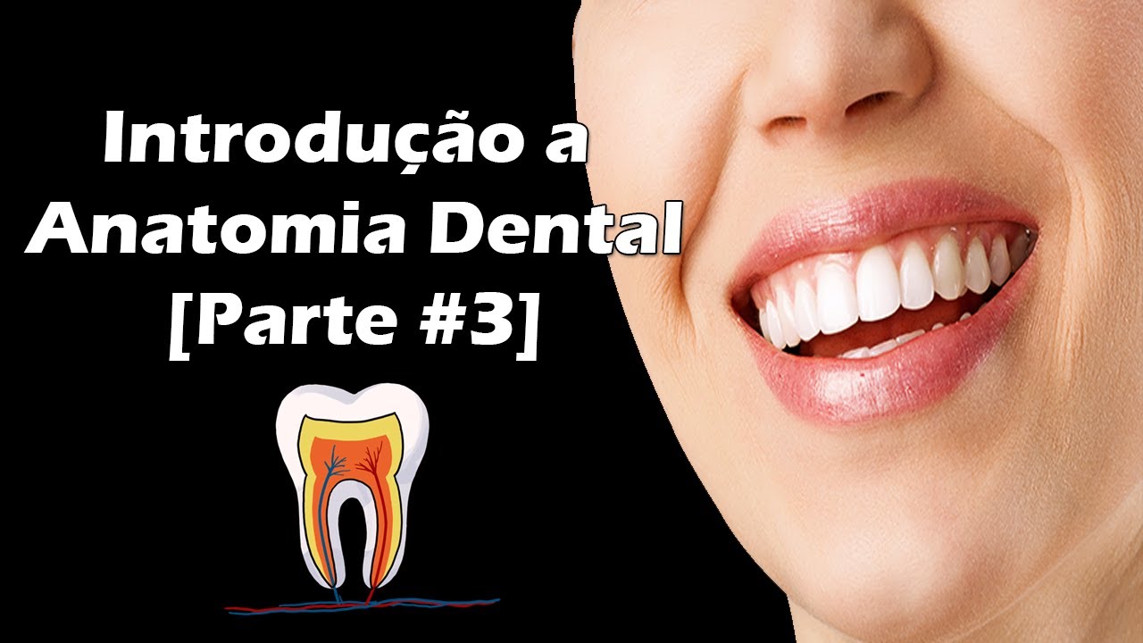 Introdução à Anatomia Dental Cúspides, Sulcos, Cíngulo, Forâme Cego e