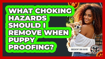 What Choking Hazards Should I Remove When Puppy Proofing? - Obedient Dog Guide