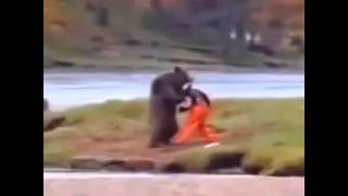 El Oso Ninja