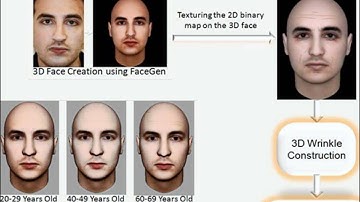 Developing a Computer System for the Generation of Unique Wrinkle Maps for Human Faces