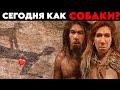 СТРАННЫЕ ВЕЩИ, КОТОРЫЕ ДЕЛАЛИ НЕАНДЕРТАЛЬЦЫ! | КАК ОНИ РАЗВЛЕКАЛИСЬ