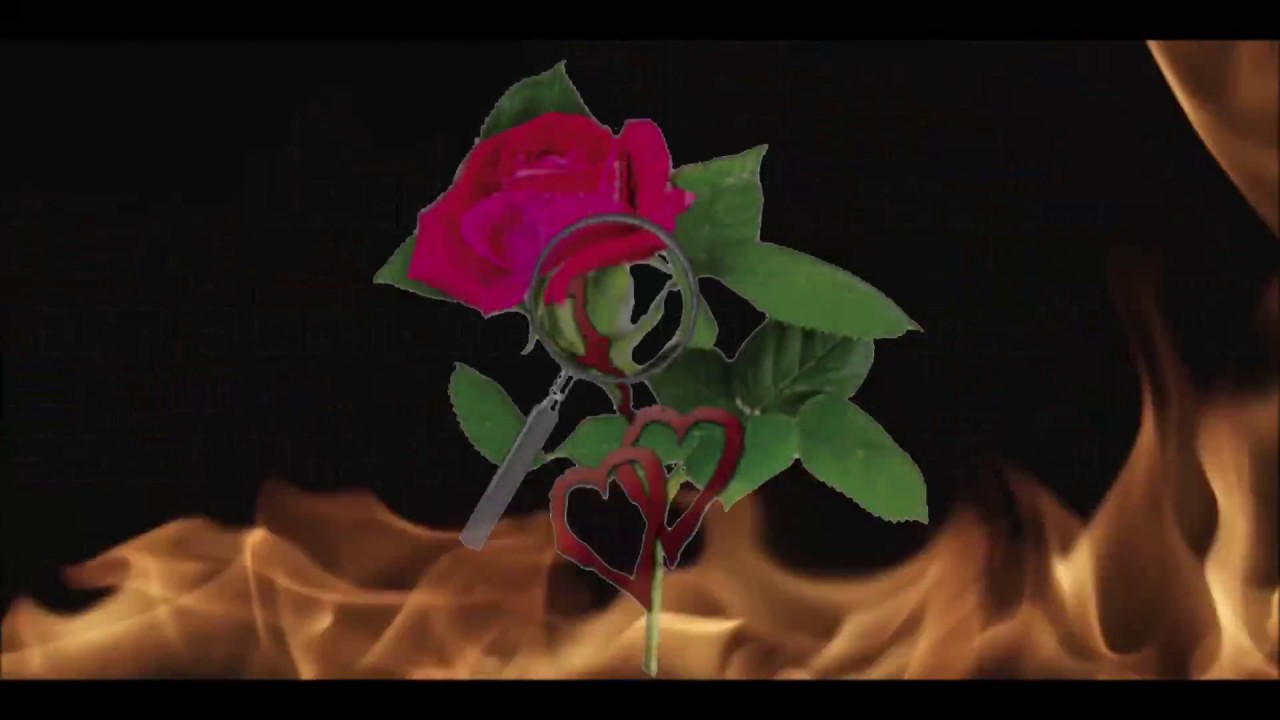 Introducing Lauren Carr - Best Selling Mystery Author