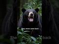 The Hunters Who Never Came Back #scary #horror #creepy #mystery