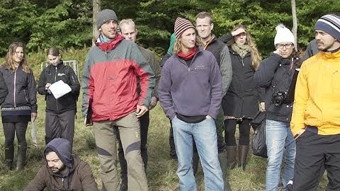 MSc in Forest and Nature Management, University of Copenhagen