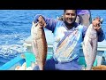 நடுக்கடலில்  150 கிலோமீட்டர் தொலைவில் கண்டல்மீன் பிடிப்பது/REDSNAPPER FISH CATCHING IN LINE RURAL