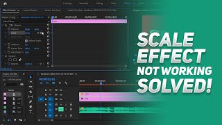 How to Fix Adobe Premiere Pro Scale Keyframes Not Working - Premiere Pro Scale Animation Not Working