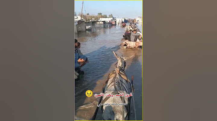غرق غزة تحت الامطار شتاء ياعالم انقضوا من موت 🥶😣 #غزة_تواجه_الإبادة #فلسطين #غزة_تباد #غزة #اكسبلور