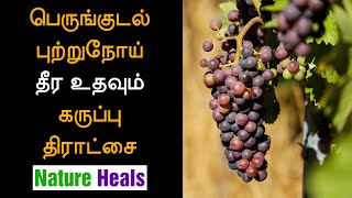 பெருங்குடல் புற்றுநோய் குணமாக உதவும் கருப்பு திராட்சை ( Health benefits of grape fruit in Tamil)