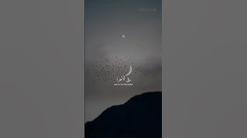 القران الكريم راحة نفسية تلاوة خاشعة حالات واتساب قران كريم تلاوات ❤️🩵💜 #حالات_واتس_اب