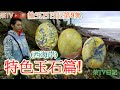 玉石能呈現山水畫!?  #西海岸撿玉石 #玉石#撿玉石日記#花東玉石#竹圍漁港#林口海邊#花蓮玫瑰石#鳳山溪撿玉石#竹南崎頂撿玉石 #玉石如何分辨教學! #撿玉石日記第9集