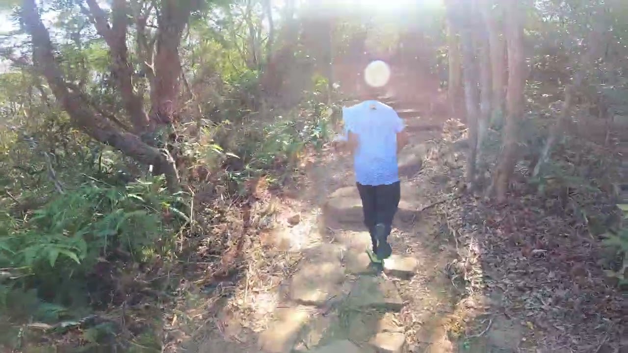 2026.02.15 Test Run V6.1 [Cat.ME]@Mau Ping