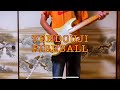 TENDOUJI-FIRE BALL (guitar cover)