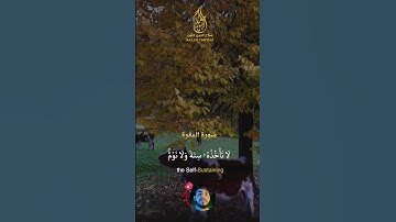 ابدا بها يومك 🍃💚ايه الكرسي❤️  القارئ salah gnoun