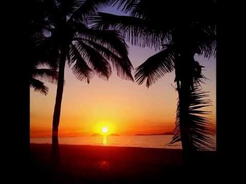 Planta e Raiz  - Um Novo Amanhecer