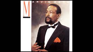 Watch Marvin Gaye Maria video