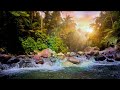 😴 Deep Sleep Drone + Flowing River 🌊 Dark Screen Music for Better Sleep Tonight #relax #peace