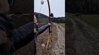 3D Archery 🏹🏹🏹Weitschuss auf Bison 3D Bogenschießen #archery #bogenschießen screenshot 3