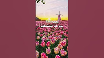 سوره فرقان آیات  ۲۰-۲۴ #ترجمه_فارسی_قرآن_کریم #پیام_قرآن #ترجمه_قرآن_کریم #قرآن