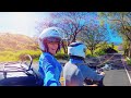Suzuki Burgman 400 - Jacaranda tree ride on Maui | Mitch's Scooter Stuff