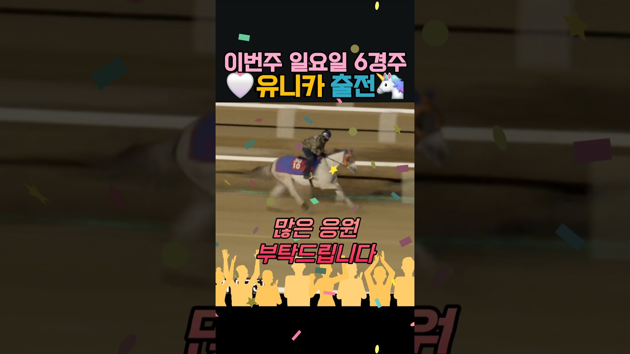 이번주 출전마 소개‼️ #유니카🦄 #일요서울6️⃣경주 #1️⃣번게이트