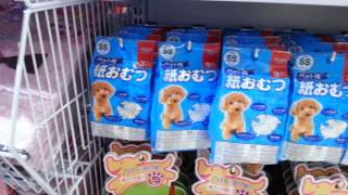 daiso dog clothes