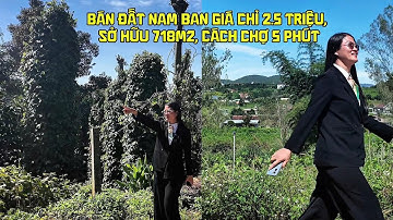 Bán Đất Nam Ban Giá chỉ 2.5 triệu/m2 | 718m2 có 203m2 Thổ cư - View đồi Thông, Cách chợ 5 phút