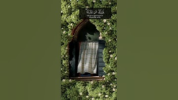 ٱللَّهُ لَطِيفٌۢ بِعِبَادِهِۦ يَرْزُقُ مَن يَشَآءُ || ❤ || سورة الشورى - الآية 19 ✨