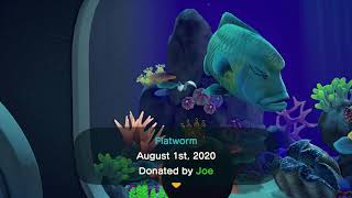 Completing the Aquarium  Animal Crossing New Horizons (No Commentary)