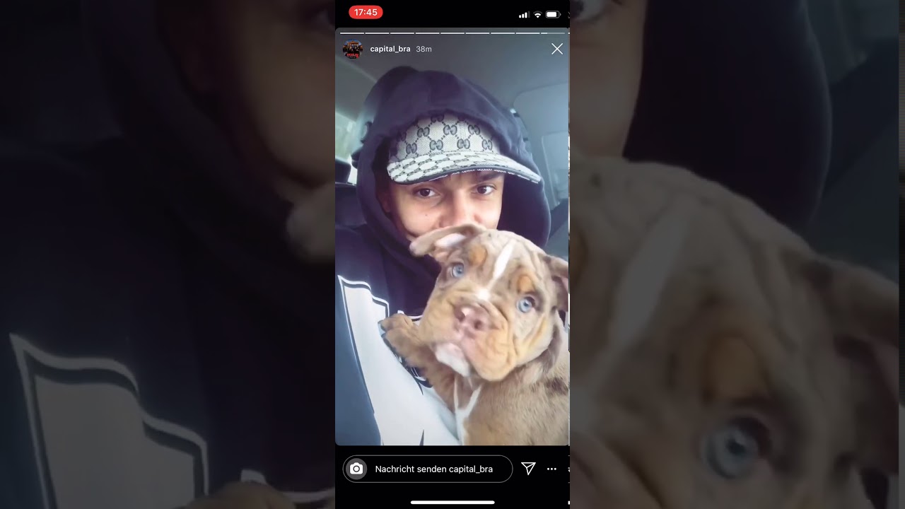 Capital Bra kauft sich ein Hund😍😍😍 YouTube