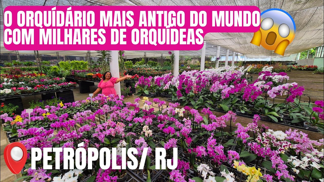 VISITA AO ORQUÍDÁRIO MAIS ANTIGO DO MUNDO EM PETRÓPOLIS/RJ: ORQUIDÁRIO BINOT | MILHARES DE ORQUÍDEA